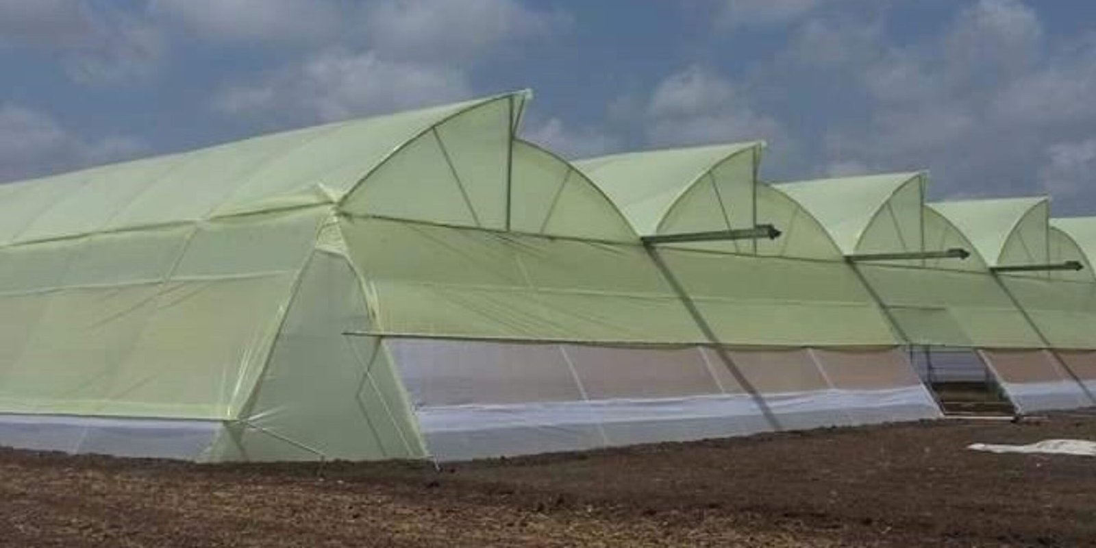 Poly Houses: Enhancing Agricultural Productivity in India